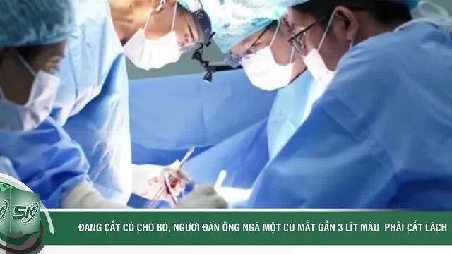 Đang cắt cỏ cho bò, người đàn ông ngã một cú mất gần 3 lít máu