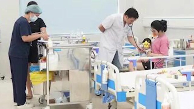 Chỉ vài phút sau khi bị ong đốt vào đầu, bé trai 8 tuổi sốc phản vệ