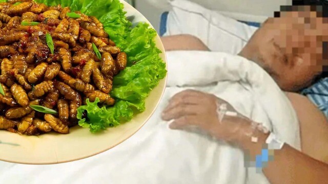 Người đàn ông 41 tuổi suýt chết sau khi ăn 20 con nhộng tằm