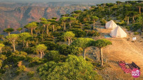 Bị lãng quên giữa đại dương, Socotra lại sở hữu vẻ đẹp khiến thế giới phải ngỡ ngàng.