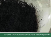 Clip Eva - Vị thuốc quý nhìn như tóc rối nhiều người e ngại nhưng lại nhiều giá trị dinh dưỡng