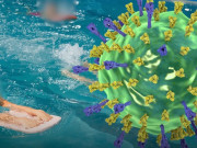 Clip Eva - Trẻ mắc Adenovirus tăng nhanh, bác sĩ khuyến cáo phụ huynh thận trọng khi cho con đi bơi