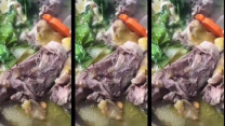 Phát hãi clip nghi dòi bò lúc nhúc trong nồi thịt gà tại tiệc tân gia