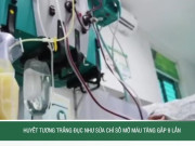 Clip Eva - Huyết tương trắng đục như sữa, chỉ số mỡ máu tăng gấp 9 lần