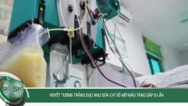 Huyết tương trắng đục như sữa, chỉ số mỡ máu tăng gấp 9 lần