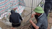 [VIDEO] Người nhái lặn xuống cống nước xiết tìm nam sinh nghi mất tích ở Hà Nội