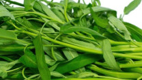 Món rau quen thuộc của người Việt lọt top 3 món ăn kèm ngon nhất Đông Nam Á