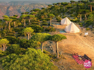 Bị lãng quên giữa đại dương, Socotra lại sở hữu vẻ đẹp khiến thế giới phải ngỡ ngàng.