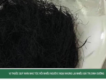 Vị thuốc quý nhìn như tóc rối nhiều người e ngại nhưng lại nhiều giá trị dinh dưỡng