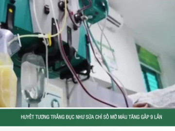 Huyết tương trắng đục như sữa, chỉ số mỡ máu tăng gấp 9 lần