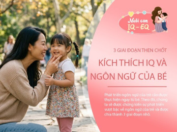 Đừng bỏ qua 3 giai đoạn then chốt trong những năm đầu đời, bởi đây là lúc não bộ và ngôn ngữ của bé phát triển mạnh