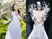 Đẹp - "Khổng tước" Dương Lệ Bình mỗi khi diễn chỉ ăn 1 quả trứng/ngày, U70 "thấy mình như 18"