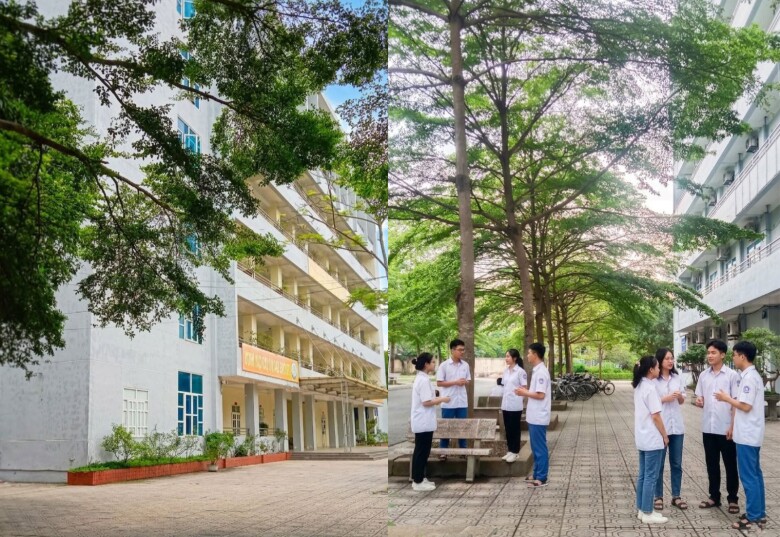 Khuôn viên nhà trường rộng rãi, luôn có nhiều hoạt động ngoại khoá hấp dẫn (Ảnh Fanpage trường)