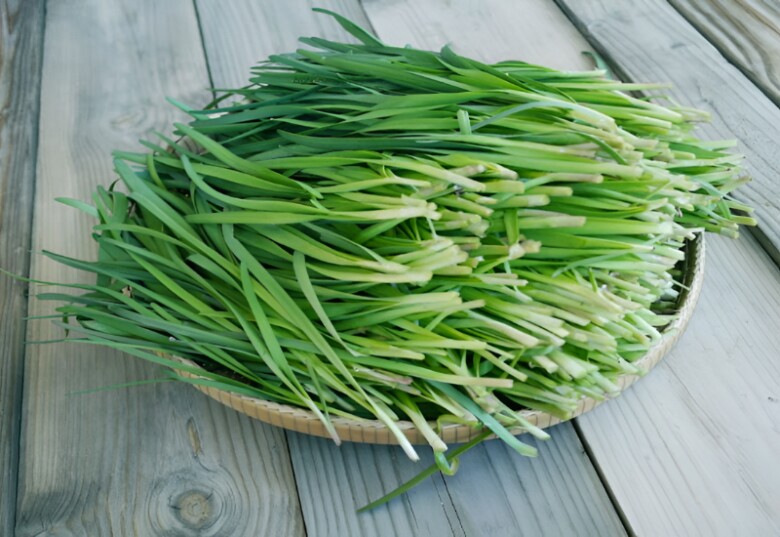 Hẹ thu hoạch và phân loại, làm sạch trước khi đem đi tiêu thụ ở các chợ (Ảnh minh hoạ)
