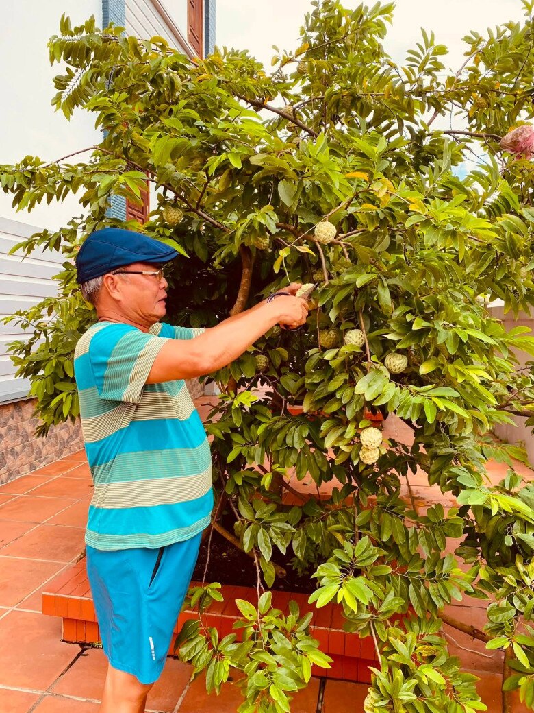 Ông thường dành thời gian để chăm sóc vườn cây trĩu quả.