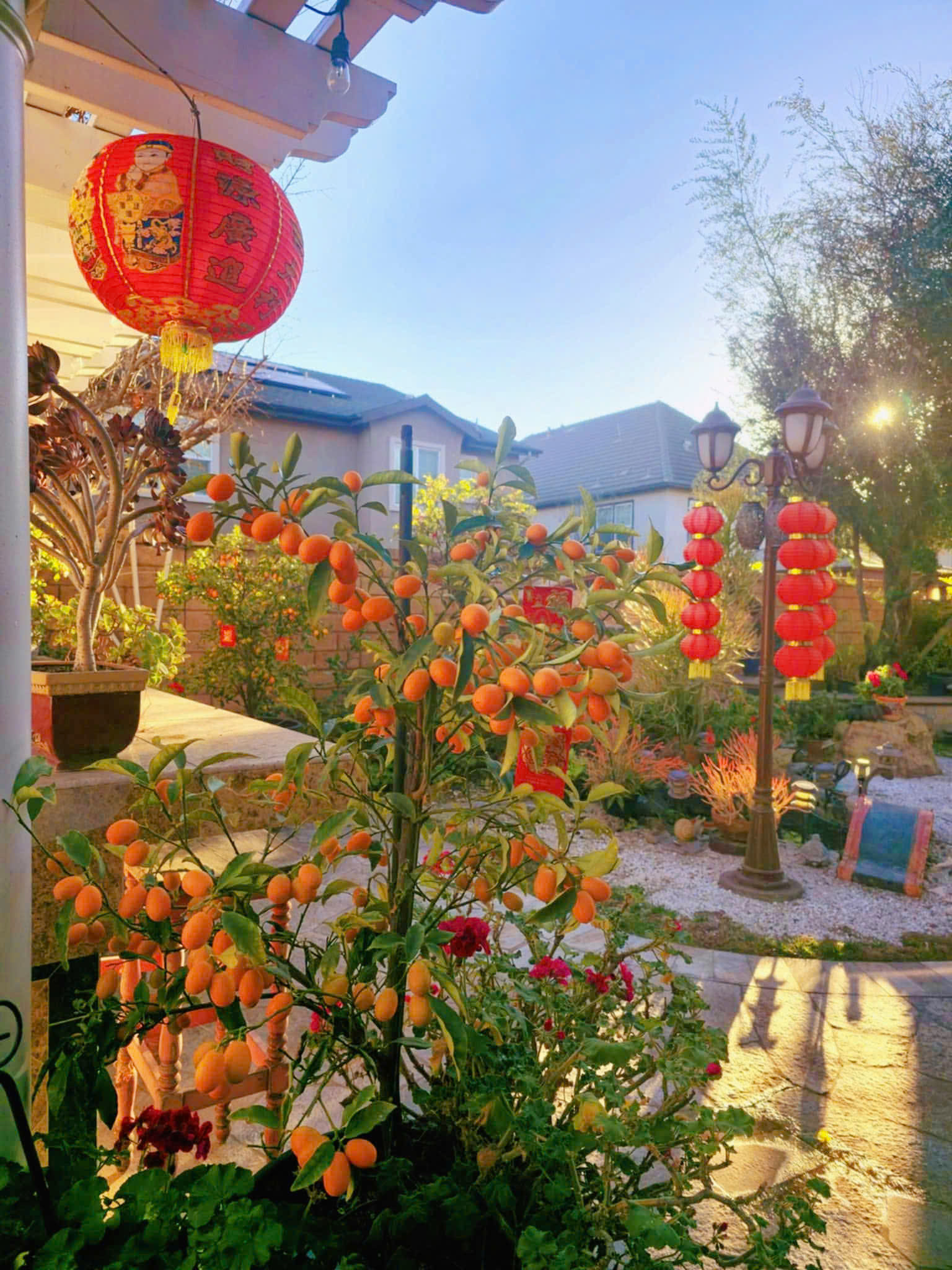 Nhà Hồ Lệ Thu ở California. Ảnh: NVCC