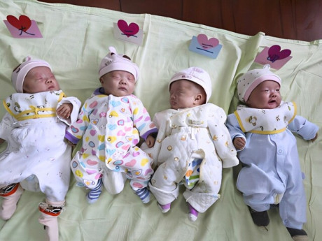 Cô gái trẻ sinh một lúc 4 con 3 trai 1 gái cực trộm vía, bác sĩ nhìn cũng phải tấm tắc: "Quá hiếm gặp!"