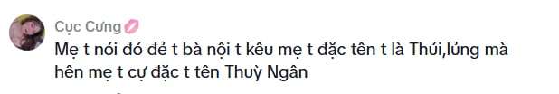 Bà nội định đặt tên cho cháu là Thúi, mẹ quyết đổi sang cái tên khác vừa hay lại ý nghĩa - 2