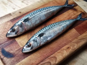 Yêu con - Loại cá "tốt nhất thế giới" ở Việt Nam đang vào mùa, thịt chắc, ít tanh, giàu omega-3 hơn cá hồi giúp bé thông minh