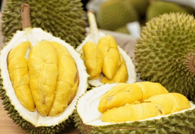 Nếu nhắc đến nỗi ám ảnh của nhiều du khách, chắc chắn không thể không kể đến sầu riêng. Đây là loại trái cây khiến nhiều du khách e dè ngay từ lần đầu ngửi vì mùi nồng, đậm và rất khó lẫn. 