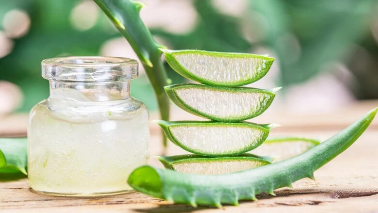 Nha đam có tác dụng làm đẹp, được nhiều chị em ưa thích. Ảnh minh họa. 