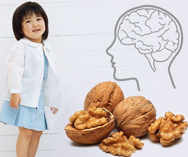 Hạt óc chó là một ngoại lệ về quan niệm ăn gì bổ nấy vì chúng rất tốt cho phát triển trí não của trẻ. 
