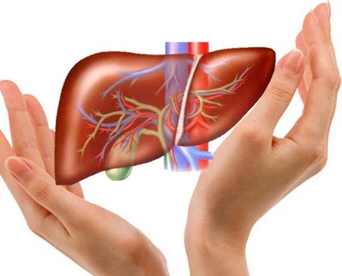 Chính vị đắng trong trái khổ qua lại là vị thuốc dưỡng gan cực hiệu quả. Ảnh minh họa. 