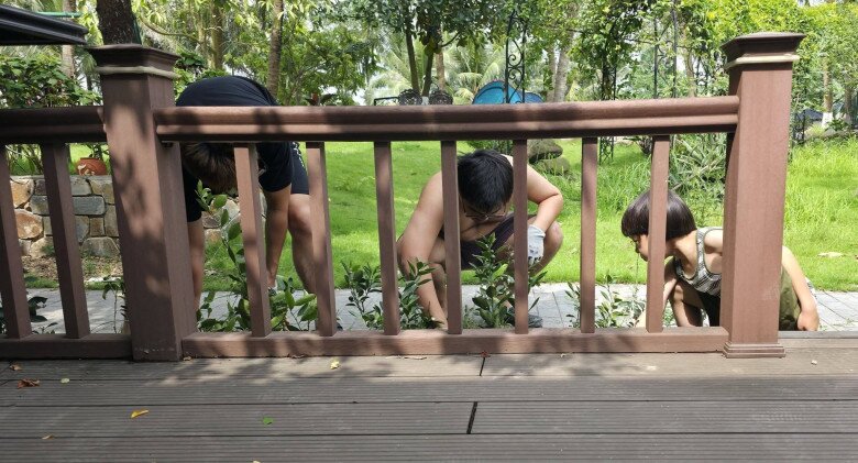 Cây khế sai trĩu trịt nhà NSND Xuân Bắc, nam nghệ sĩ nói công dụng mọi người đều phì cười - 6