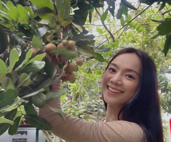 Trương Kiều Diễm rạng rỡ khoe nụ cười hạnh phúc bên gốc nhãn sai trĩu quả. Nữ ca sĩ vui thú khi thu hoạch những chùm nhãn chín mọng ngay trong khu vườn nhà.