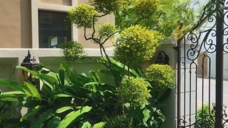 Mảng tường rào bao quanh căn biệt thự được phủ xanh bởi cây bụi tán tròn uốn lượn nghệ thuật và các chậu cây cảnh lớn. Hệ thống cổng sắt uốn hoa văn cầu kỳ kết hợp cùng đèn trụ cổng cổ điển làm tôn lên nét uy nghi, bề thế cho cơ ngơi.