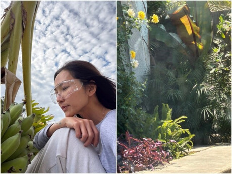 Khu vườn đầy hoa thơm trái ngọt của "em gái Tăng Thanh Hà" ở Mỹ, trân trọng buồng chuối giữa xứ người