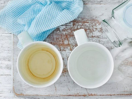 Mẹo tẩy sạch vết ố vàng trên tách trà, cốc sứ bằng nguyên liệu tại nhà