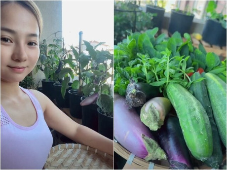 Diễn viên Khánh Hiền có khu vườn ban công nhỏ nhưng thu hoạch đã tay, "trông ngóng như chăm người yêu"