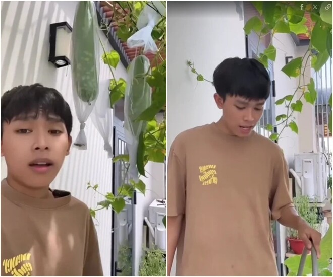 Những ngày không có lịch biểu diễn, Hồ Văn Cường dành trọn thời gian lên sân thượng và ban công tưới cây, bọc củ quả. Giàn bầu tươi xanh sai trĩu quả là thành quả khiến anh vô cùng tự hào.
