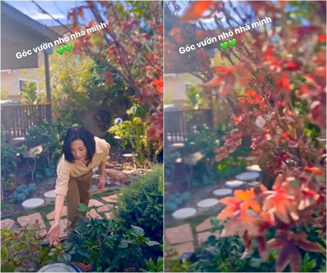 Mỗi góc nhỏ trong vườn đều mang dấu ấn chăm sóc ân cần của Hồng Đào. Sự đan xen giữa các gam màu lá đỏ, lá xanh cùng hoa cỏ tự nhiên tạo nên bức tranh thiên nhiên sống động và vô cùng thư thái.