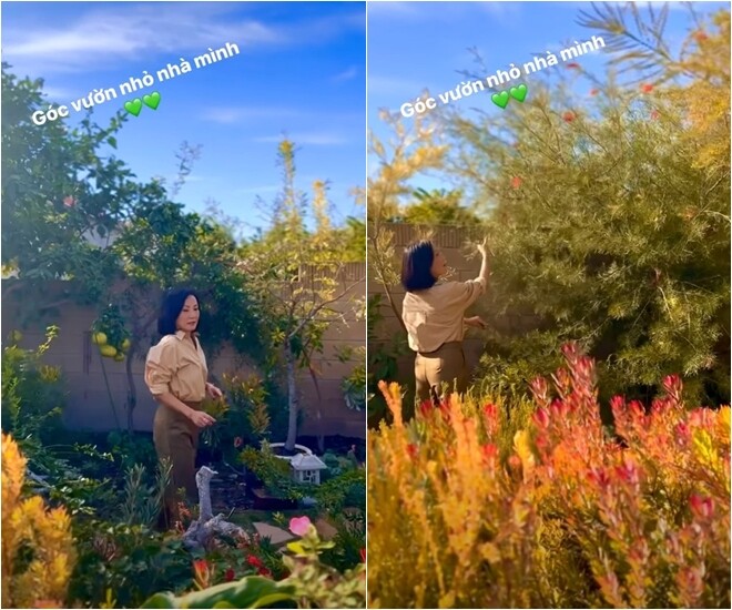 Bầu trời xanh trong cùng mảng xanh trù phú của khu vườn đem lại cảm giác thoáng đãng và tự do. Nơi đây đã trở thành liệu pháp tinh thần vô giá, giúp nữ nghệ sĩ nạp lại năng lượng sau những giai đoạn biến cố trong cuộc sống.
