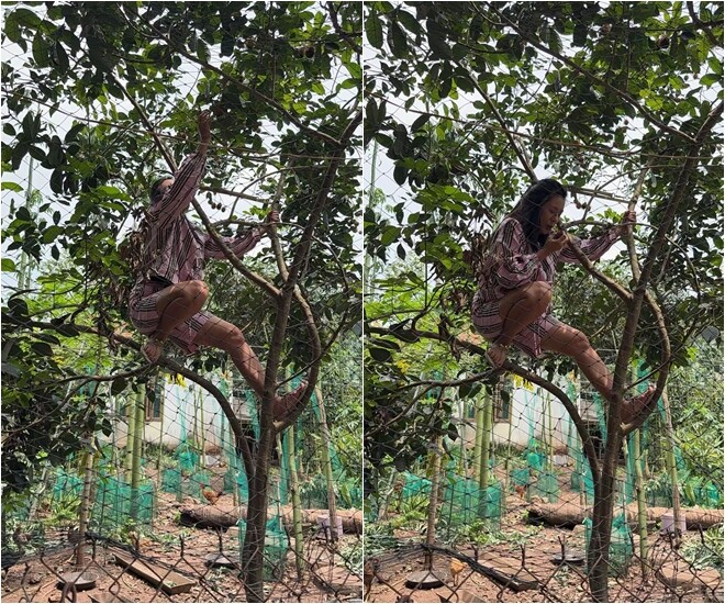 Cô hài hước tự nhận xét về khoảnh khắc cực lầy lội này của mình: Cây hơi mỏng còn em hơi dày. Thử nhẹ coi ngọt hông.