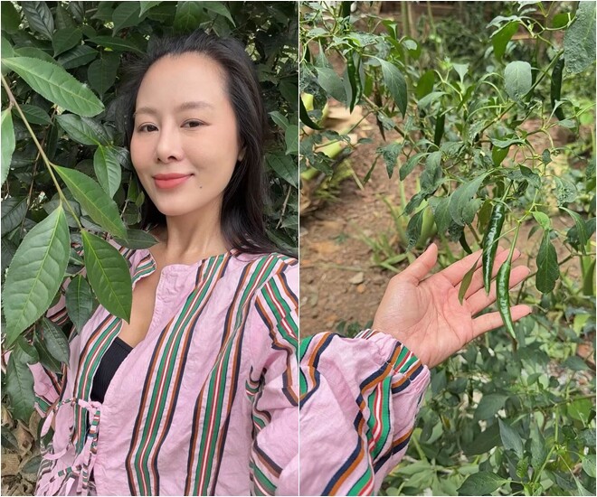 Không chỉ báo cây chôm chôm, cô nàng tiếp tục hành trình khám phá khu vườn quanh nhà. Nữ diễn viên chia sẻ: Ngủ trưa dậy rồi, em ra vườn khám phá cây chè, cây ớt, bụi mía của mẹ. Mẹ dặn rớt 1 lá, rơi 1 trái, mất 1 khúc là tối nay em nhịn đói liền.