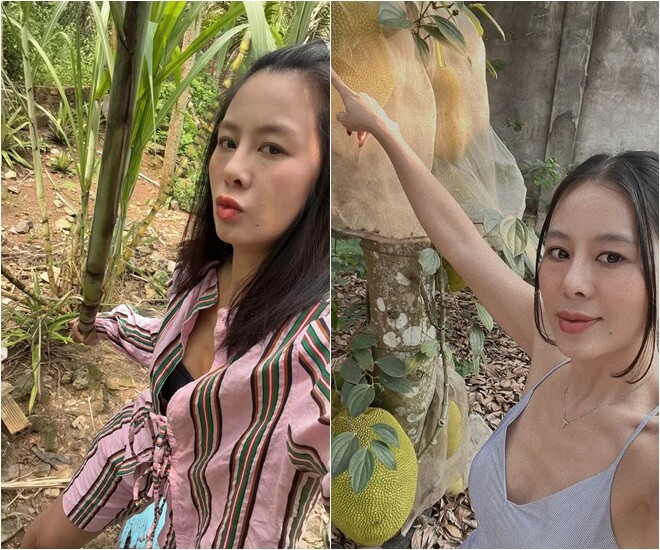 Bên cạnh cây chè, cây ớt, khu vườn nhà Nam Thư còn có cả mía và những gốc mít trĩu quả được bọc cẩn thận. Sự đa dạng của các loại cây trái khiến cô nàng vô cùng thích thú check-in đủ kiểu.