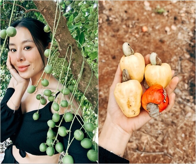 Nam Thư thích thú tận hưởng ngày hè ở quê, còn tự tay thu hoạch những quả điều chín vàng rực và ghi lại hình ảnh bên những chùm quả lạ mắt trong vườn.