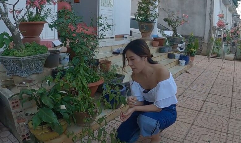 Từng bậc thềm dẫn vào nhà chính phủ kín các chậu hoa hồng, chậu kiểng và cây cà chua nhỏ do chính tay gia đình chăm chút. Khung cảnh xanh tươi trước cửa nhà tạo cảm giác vô cùng thư thái, gần gũi với thiên nhiên.