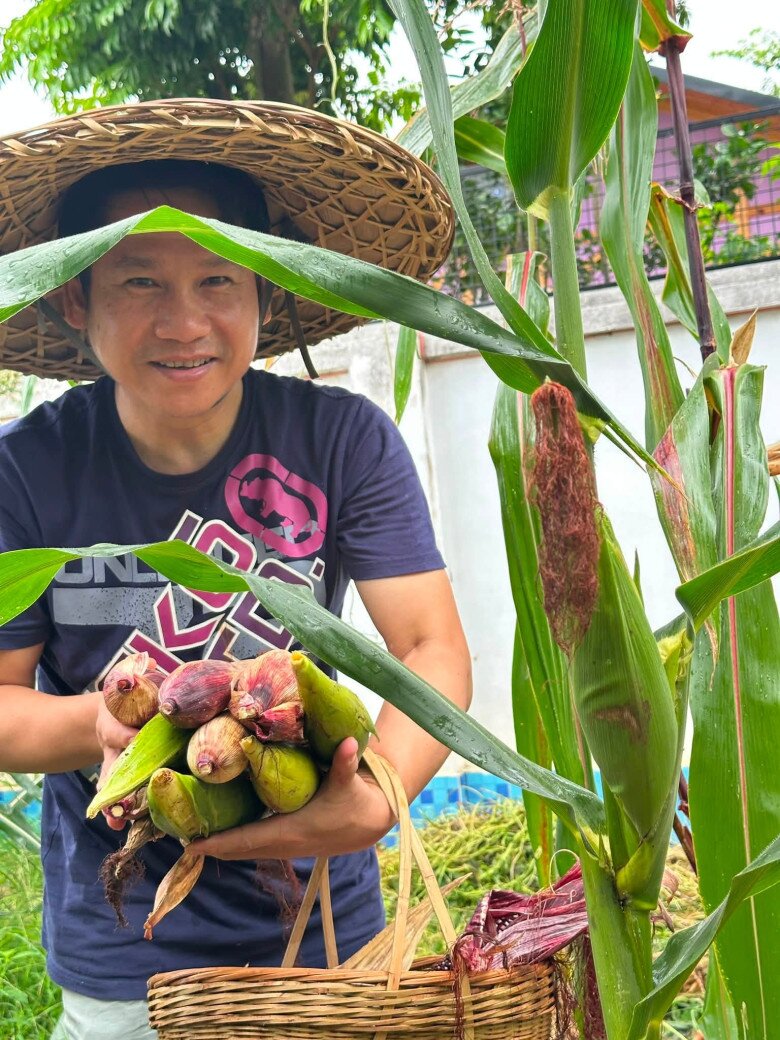 Nụ cười viên mãn của giọng ca xứ Thanh khi ôm trên tay những bắp ngô còn nguyên vỏ xanh rồi đựng vào chiếc giỏ mộc mạc đem về cho gia đình.