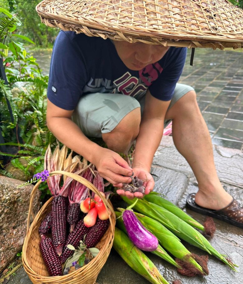 Trọng Tấn trực tiếp bẻ ngô, hái quả trong vườn. Trải nghiệm làm người nông dân thực thụ đem lại cho anh những phút giây thư giãn, rũ bỏ mọi áp lực của ánh đèn sân khấu.