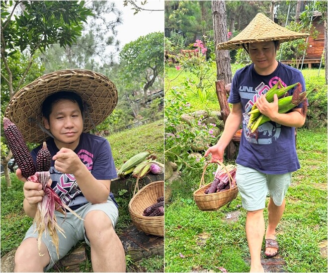 Ca sĩ Trọng Tấn thích thú khoe những bắp ngô nếp tím hạt đều tăm tắp vừa được thu hoạch trực tiếp tại vườn. Nam ca sĩ giản dị đội chiếc nón lá, tự hào với thành quả nông sản sạch, chất lượng cao do chính tay hai vợ chồng vun trồng.