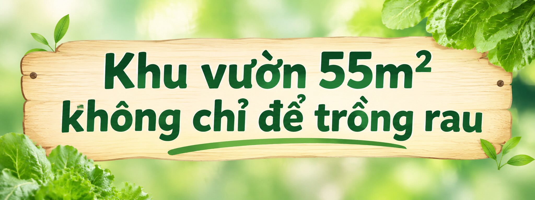 Kỹ sư IT biến sân thượng 55m² thành khu vườn xanh đẹp, quả sai lúc lỉu, tối đến cả nhà cùng lên thư giãn - 2