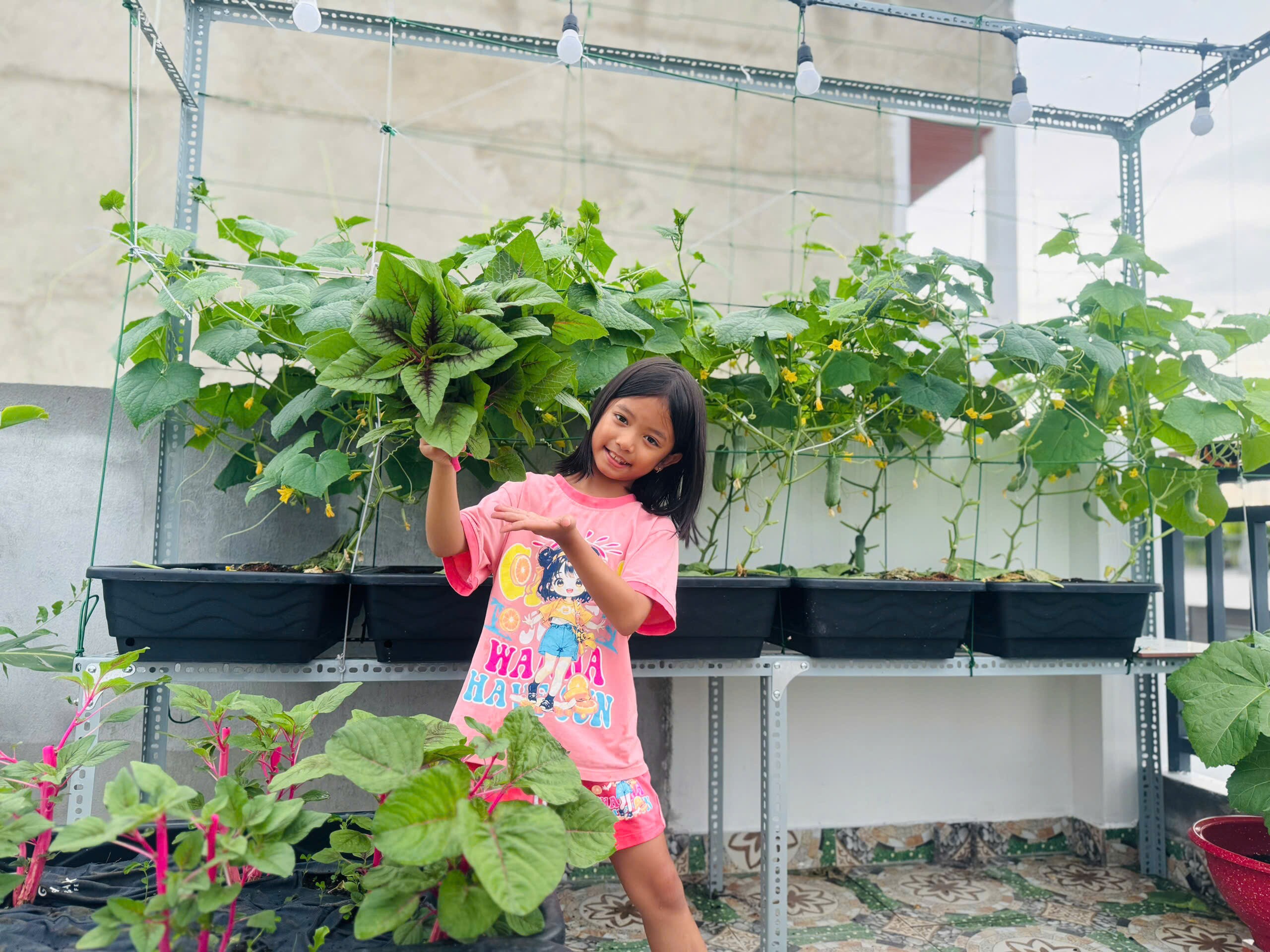 Kỹ sư IT biến sân thượng 55m² thành khu vườn xanh đẹp, quả sai lúc lỉu, tối đến cả nhà cùng lên thư giãn - 9