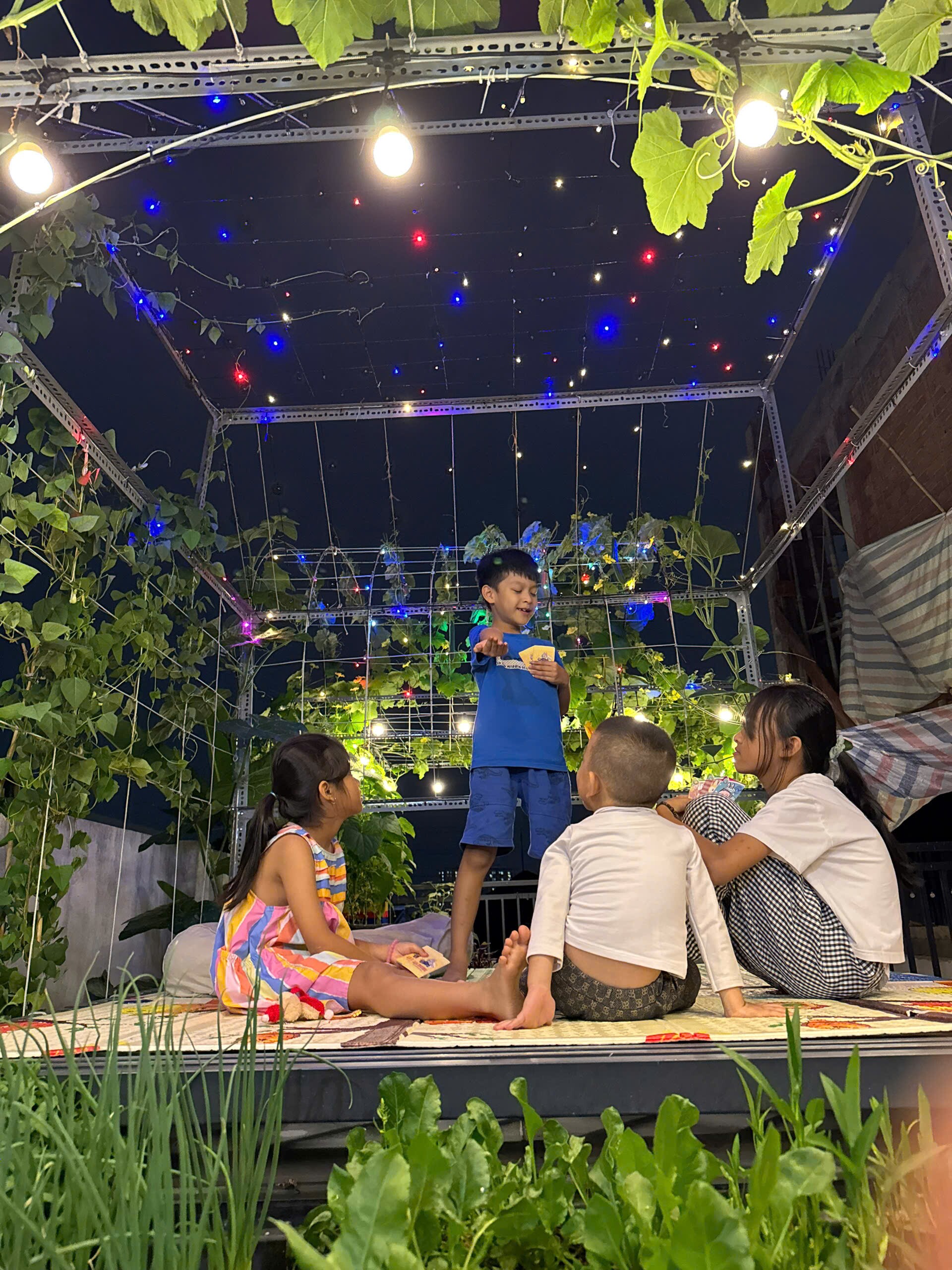 Kỹ sư IT biến sân thượng 55m² thành khu vườn xanh đẹp, quả sai lúc lỉu, tối đến cả nhà cùng lên thư giãn - 6