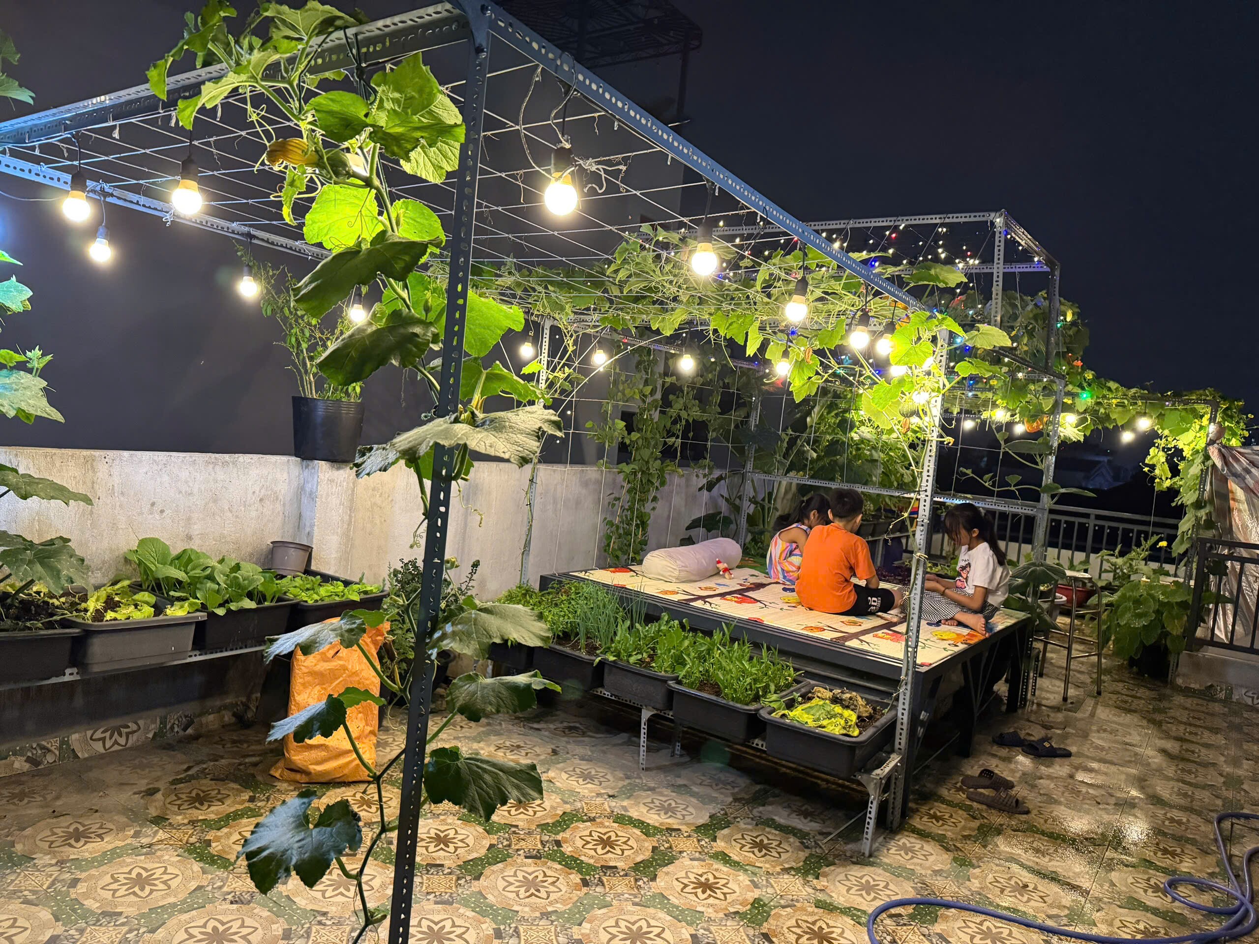 Kỹ sư IT biến sân thượng 55m² thành khu vườn xanh đẹp, quả sai lúc lỉu, tối đến cả nhà cùng lên thư giãn - 5