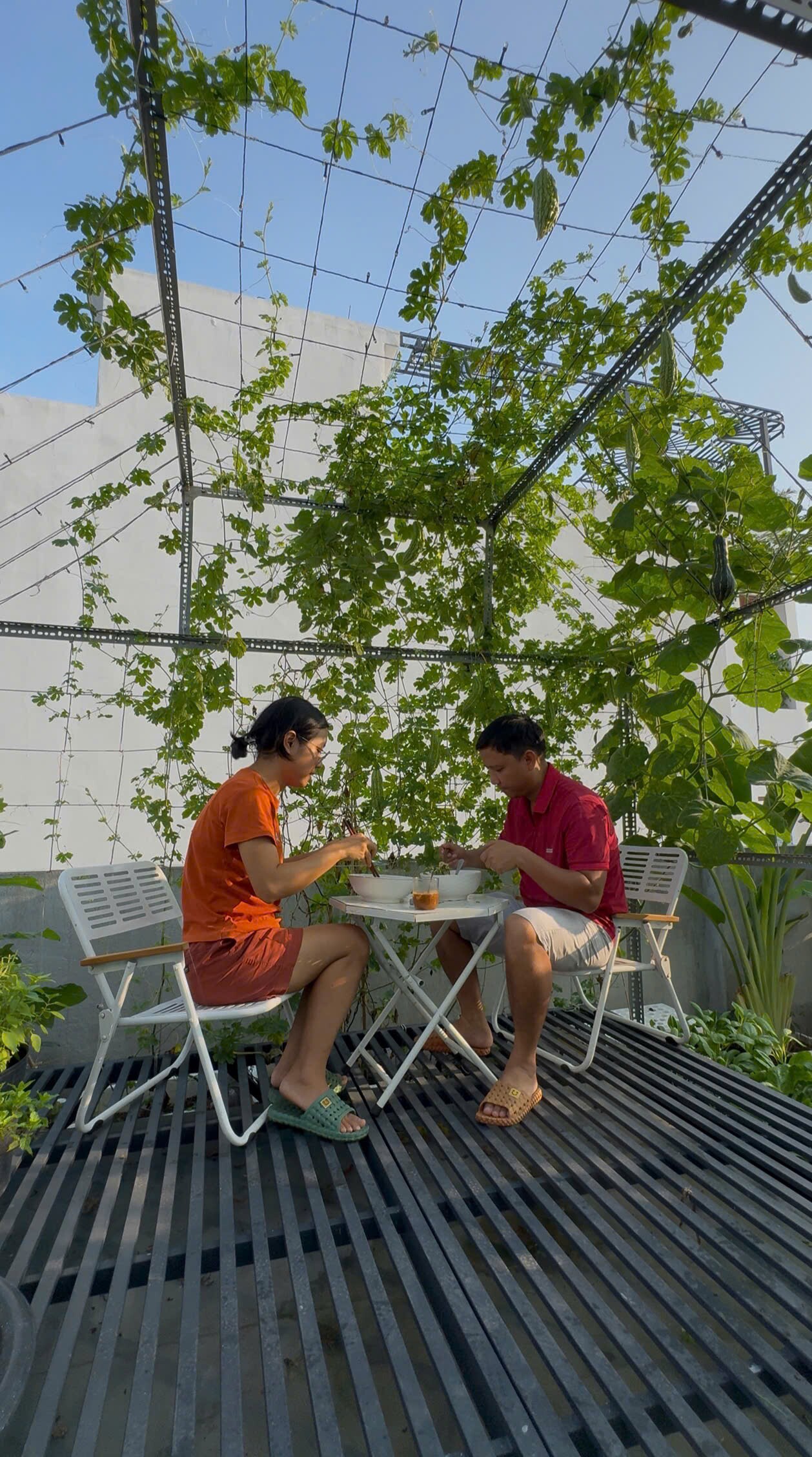 Kỹ sư IT biến sân thượng 55m² thành khu vườn xanh đẹp, quả sai lúc lỉu, tối đến cả nhà cùng lên thư giãn - 11