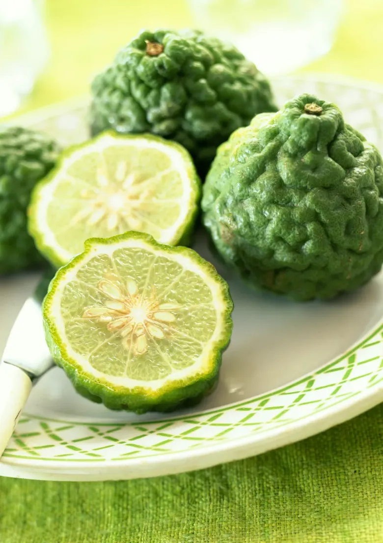 Loại lá được ví như “kim cương”, giá 2,8 triệu đồng/kg, trồng chậu vừa làm cảnh vừa có lá, quả dùng quanh năm - 4